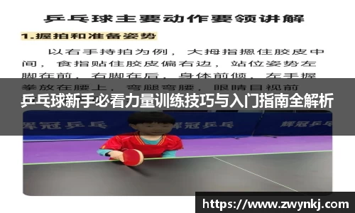 乒乓球新手必看力量训练技巧与入门指南全解析